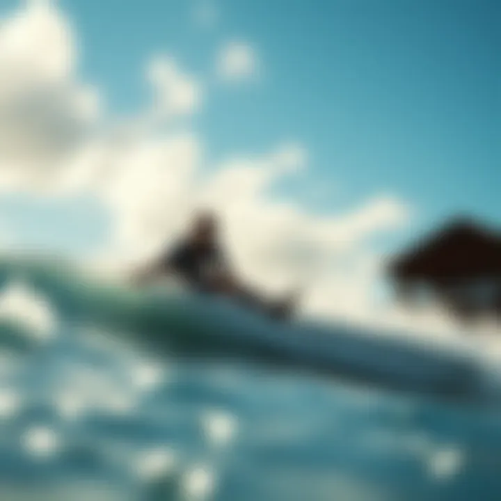 Magnificent Exploring Jacks Surf and Sport: A Comprehensive Overview