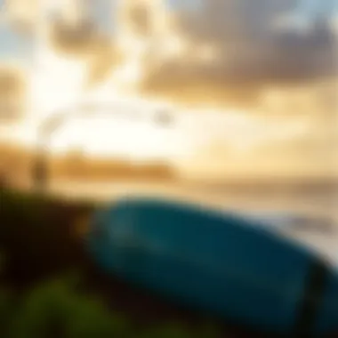 Magnificent Exploring Kihei Surfside: A Guide to Rosies Rentals Magnificent Exploring Kihei Surfside: A Guide to Rosies Rentals