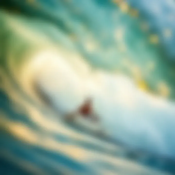 Magnificent Exploring Surf Camps for Beginners: An In-Depth Guide