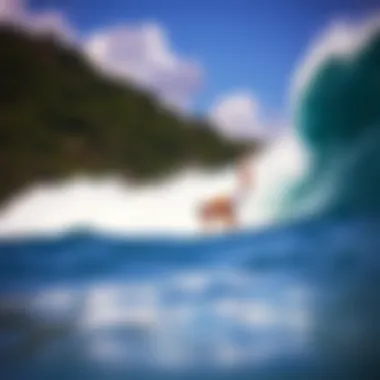 Magnificent Exploring Surfing Destinations in Puerto Rico