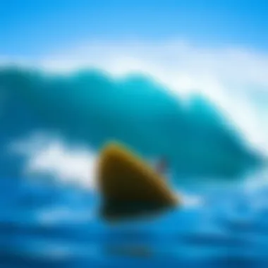 Magnificent Exploring Surfing in the Galapagos: A Comprehensive Guide Magnificent Exploring Surfing in the Galapagos: A Comprehensive Guide