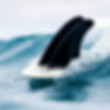 Magnificent Exploring the Best Quad Fins for Surfing Performance Magnificent Exploring the Best Quad Fins for Surfing Performance