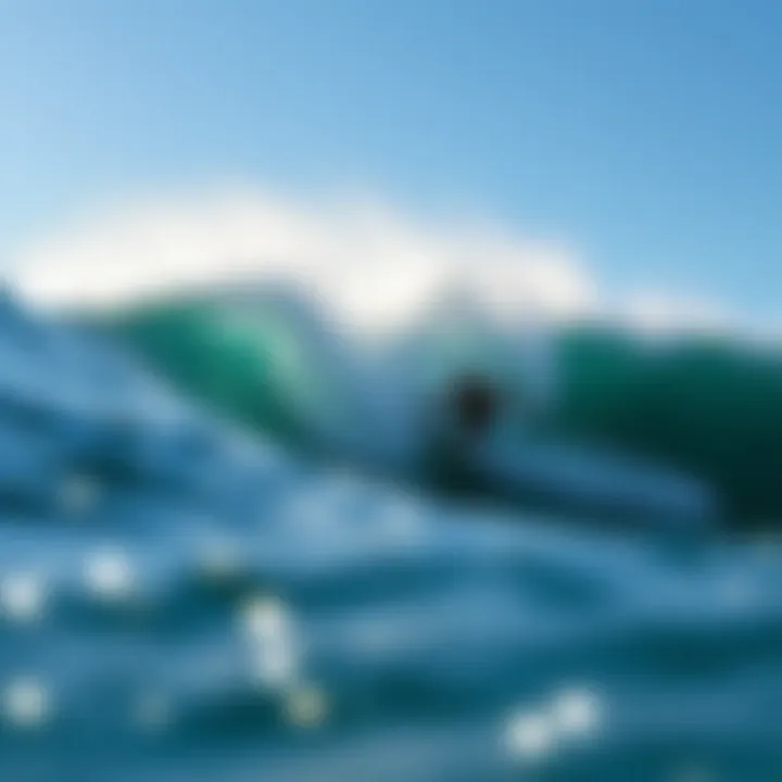 Magnificent Exploring Wavegarden Florida: A Comprehensive Examination