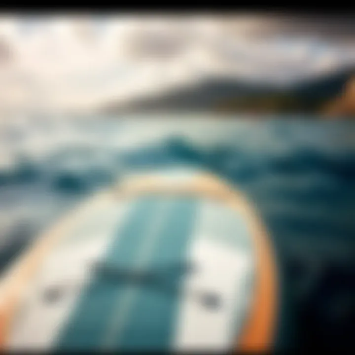 Magnificent Paddle Board Basics: A Comprehensive Guide