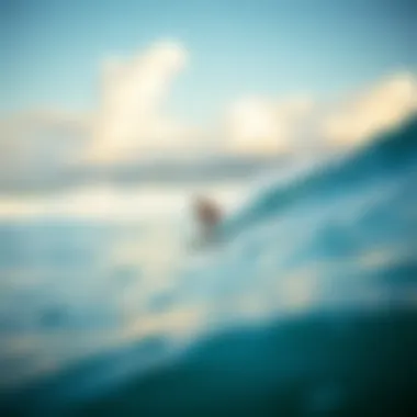 Magnificent The Surfing Experience at Waikiki Beach