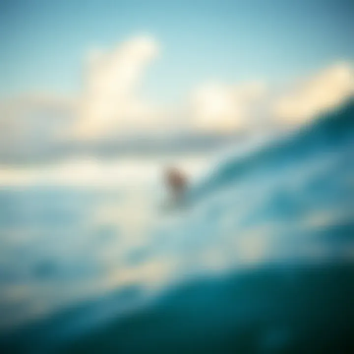 Magnificent The Surfing Experience at Waikiki Beach