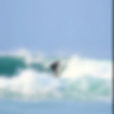 Magnificent Tidal Change: Understanding the Dynamics of Wave Patterns and Surfing Culture Magnificent Tidal Change: Understanding the Dynamics of Wave Patterns and Surfing Culture
