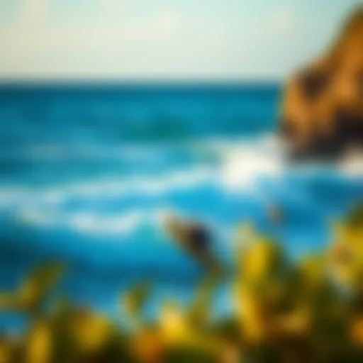 All-Inclusive Surf Vacations: A Comprehensive Exploration Introduction