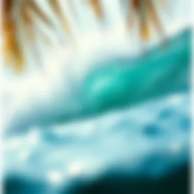 Aloha Party: Celebrating Surf Culture Summary