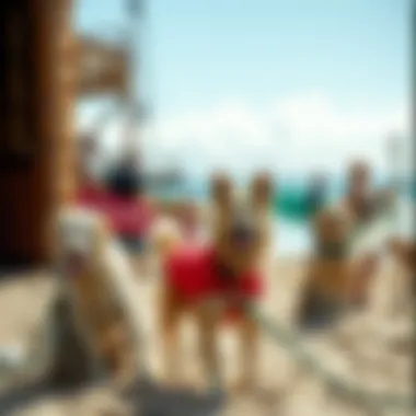 Community Vibes: Surfers and Pets on the Shore A colorful beach scene showcasing surfers and their pets mingling