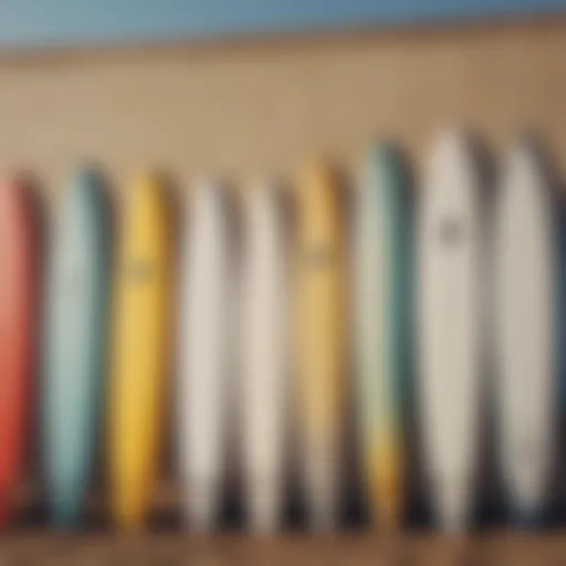 Different types of surfboards suitable for beginners