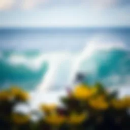 Best Surf Spots in Oahu for Beginners Introduction