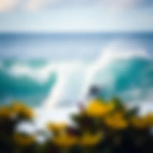Best Surf Spots in Oahu for Beginners Introduction