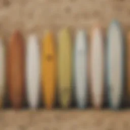 Various types of surfboards arranged on the beach