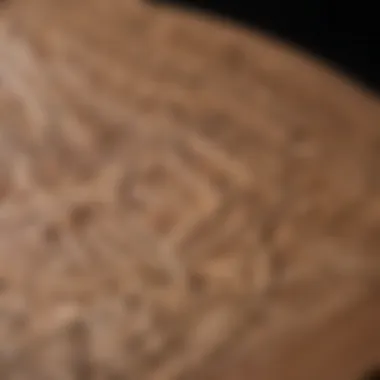 A close-up of intricate designs on a cardboard surfboard cutout highlighting sustainability.