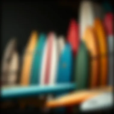 Different surfboard types displayed together