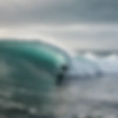 Surfers enjoying winter waves in their wetsuits