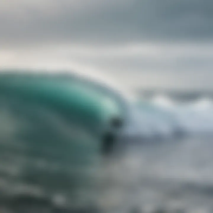 Surfers enjoying winter waves in their wetsuits