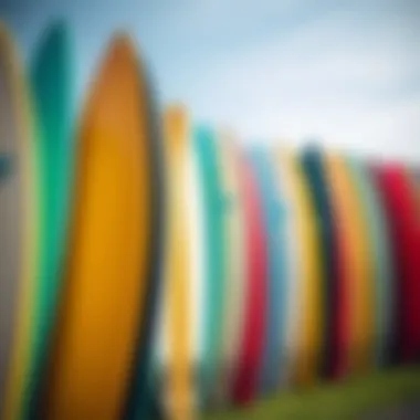 An array of foamie surfboards in different colors