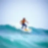 Comprehensive Exploration of the Best Surf Balance Boards Introduction