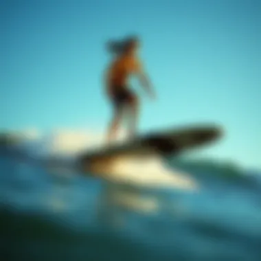 Notable Comprehensive Exploration of the Best Surf Balance Boards Notable Comprehensive Exploration of the Best Surf Balance Boards