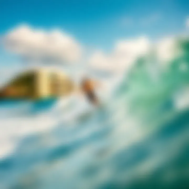 Comprehensive Exploration of the Best Surf Balance Boards Summary