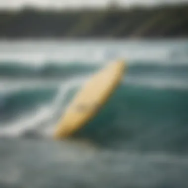 Eco-friendly surfboard alongside natural ocean scenery