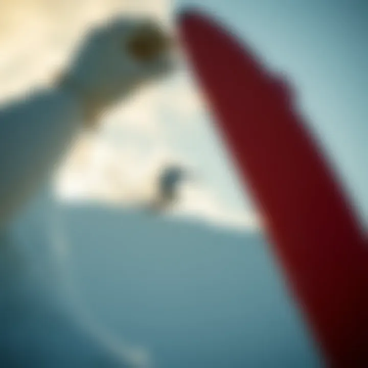 Notable Constructing a Halfpipe: A Comprehensive Guide Notable Constructing a Halfpipe: A Comprehensive Guide