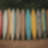 A vibrant assortment of cruiser boards displayed in a park setting