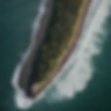 Impact of Pollution on Coastal Ecosystems Aerial view of a coastline affected by pollution