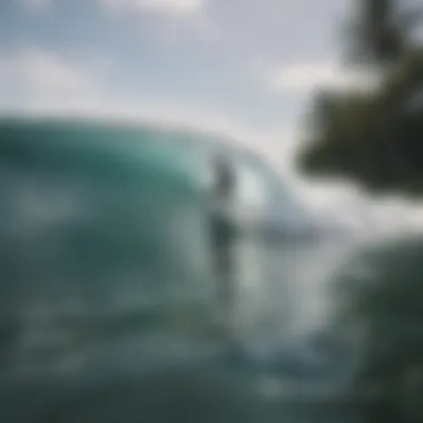 Group of surfers enjoying a training session