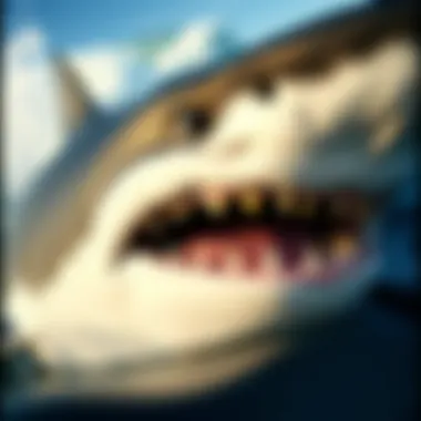 Notable Do Great White Sharks Sleep? Notable Do Great White Sharks Sleep?