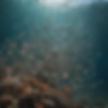 School of Fish A school of fish navigating through a dynamic marine ecosystem