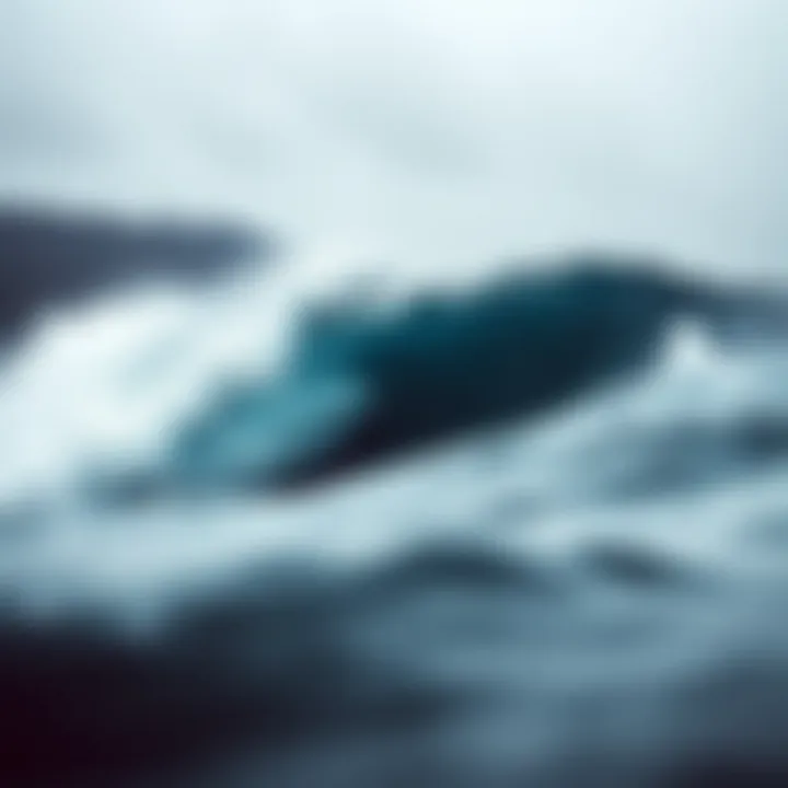 The Environmental Narrative of The Great Wave Environmental themes represented through waves