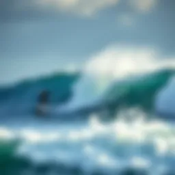 Dynamic representation of air currents above ocean waves