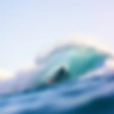 Exploring Fiji's Premier Surf Spots Summary Exploring Fiji's Premier Surf Spots Summary