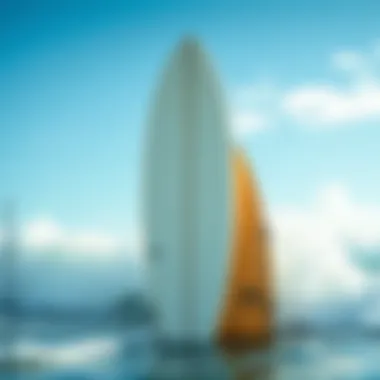 Comparison between foamie surfboard and a traditional board