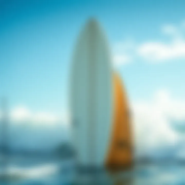 Comparison between foamie surfboard and a traditional board