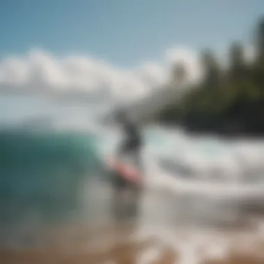 Surfers enjoying the perfect conditions at Haleiwa Alii Beach Park, embodying the spirit of surf culture.