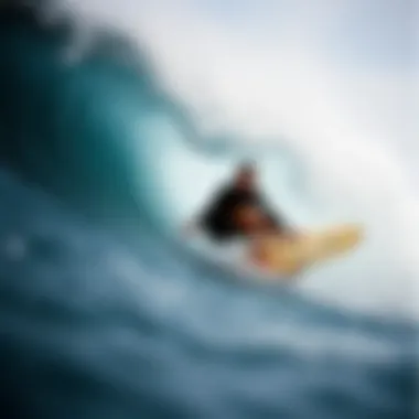 Exploring Jacks Surf and Sport: A Comprehensive Overview Summary Exploring Jacks Surf and Sport: A Comprehensive Overview Summary