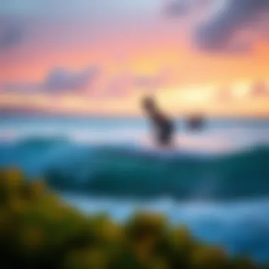 Exploring Kihei Surfside: A Guide to Rosies Rentals Summary Exploring Kihei Surfside: A Guide to Rosies Rentals Summary