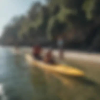 Group of enthusiasts practicing land paddling in a picturesque outdoor setting