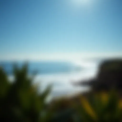 A serene coastal landscape showcasing a popular surf spot