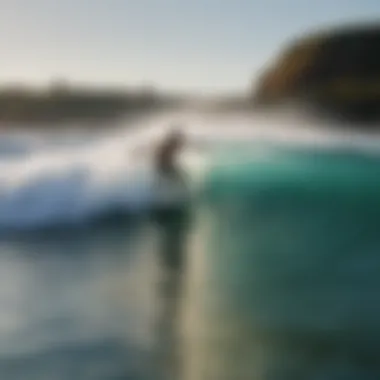 A panoramic view of Nland Surf Park's vibrant surf scene