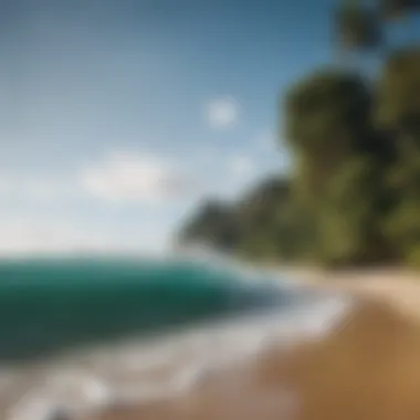 Nature's Embrace A serene beach surrounded by lush greenery, inviting tranquility
