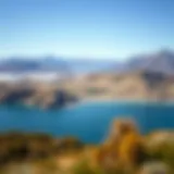 A panoramic view of the stunning landscapes of New Zealand with rolling hills and clear blue skies