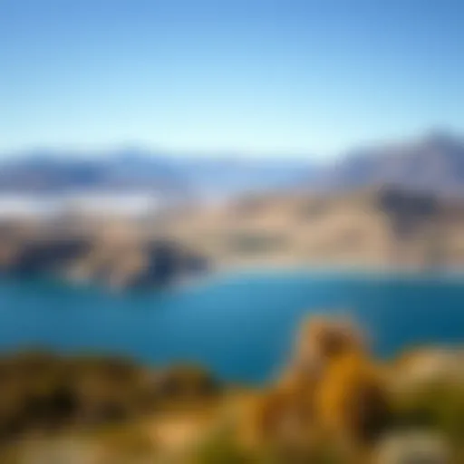 A panoramic view of the stunning landscapes of New Zealand with rolling hills and clear blue skies