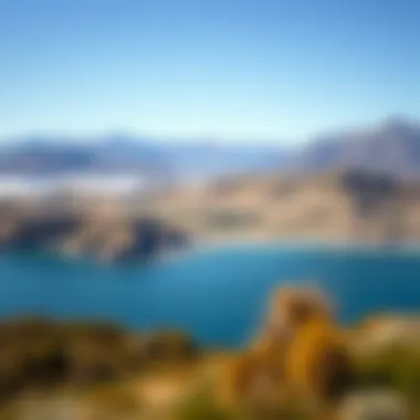 Breathtaking New Zealand Landscapes A panoramic view of the stunning landscapes of New Zealand with rolling hills and clear blue skies