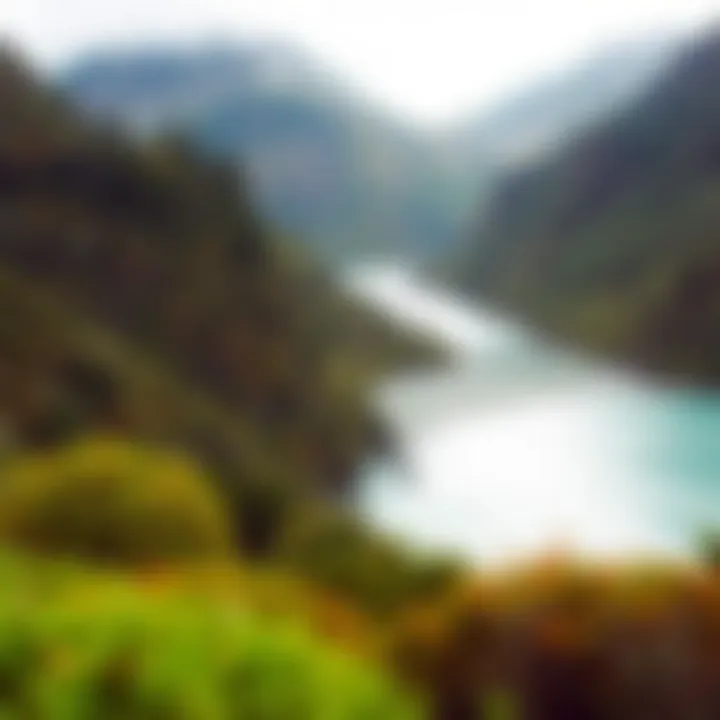 Lush National Parks of New Zealand A serene hike through lush national parks showcasing unique flora and fauna
