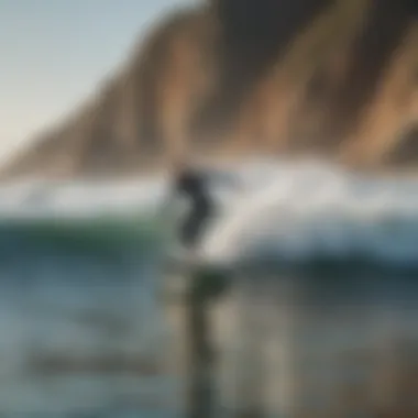 An overview of San Diego's diverse coastline with surfers in action